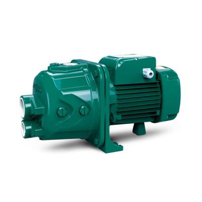 China Risefull 0.5hp-1.5hp Standard Electric Household Deep-well Water Pump (DP Style Style) for sale