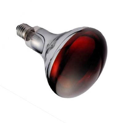 China r125 250w Energy Efficient Infrared Heat Lamp Glass Bulb For Poultry for sale