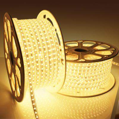 China LANDSCAPE 220V 12V 24V RGB SMD 2835 5050 Led Strip Light Ribbon Strip Light 5M 10m 30M/Roll for sale