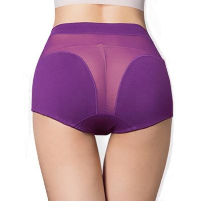 China New Women's Anti-Wrinkle Panties Transparent Women Garter Sexy Ladies Underwear See Mesh Panty High Waist Gartered lingerie for sale