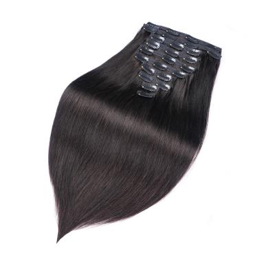 China Silky Straight Wave Clip In Virgin Brazilian Remy Human Hair Extensions for sale