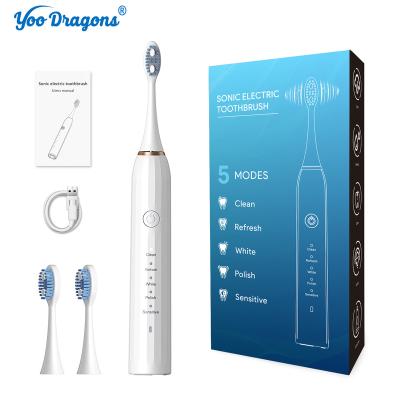 China ABS Shenzhen Professional supply Multifunction Electric Toothbrush/ Brush Teeth Electric Toothbrush Best Prices for sale