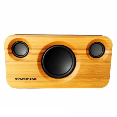 China Wireless Promotion Outdoor Bamboo Wood Portable Blue Tooth Speaker for sale