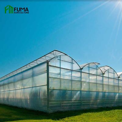 China Stable Structure Easily Assembled Agriculture Low Cost 10mm Polycarbonate Greenhouse With Hydroponic Growing System for sale