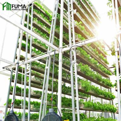 China Durable And Easy To Install FM Hydroponic Low Cost Commercial Greenhouse Vertical Grow Systems For Sale for sale