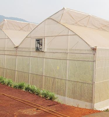 China Commercial Net Structure/Easily Assembled/No Welding Greenhouses Plastic Greenhouses Price For Sale for sale