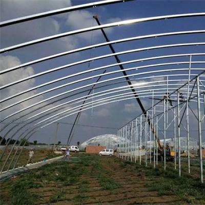 China Stable Structure Easily Assembled FM Sales Good Price Galvanized Steel Frame For Greenhouse And Greenhouse Kits for sale