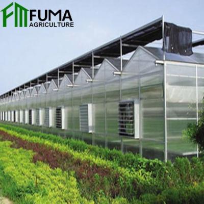 China Stable Structure/Easily Assembled/No Welding High Quality Fuma Agriculture Multi-Span Glass And Plastic Sheet Hydroponic Greenhouse for sale