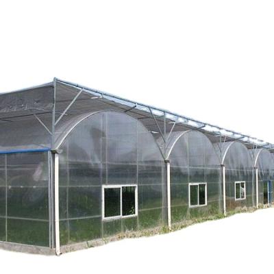 China Stable Structure/Easily Assembled/No Welding Complete Vertical Growing Aquaponics Systems Greenhouse Hydroponic Farm Supplier for sale