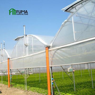 China Fruit Vegetable Flowers FUMA Customized Greenhouse For Tomato Hydroponics System Greenhouse For Tropical Climate for sale