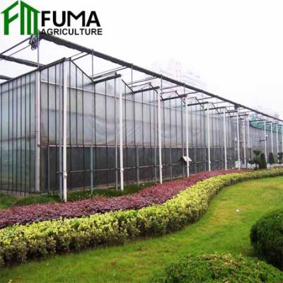 China Stable Structure And Easily Assembled FM Multi-span Polycarbonate Sheet Greenhouse For Sale for sale