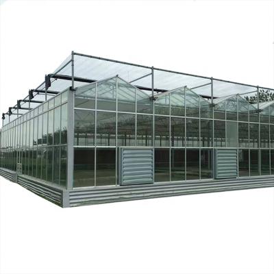 China Multi-span Vegetable Venlo PC Sheet Polycarbonate Commercial Container Greenhouse for sale