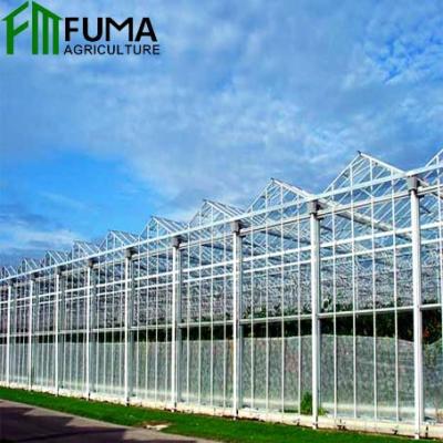 China Different kinds of full glass greenhouse hydroponic system FUMA cheap glass greenhouse hot on sale for sale