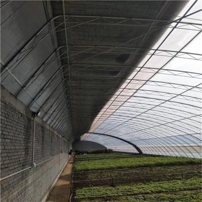 China Stable Structure Easily Assembled FUMA Solar Greenhouse With Back Wall For Cold Weather For Plant Growing China for sale