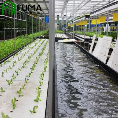 China Stable Structure Easily Assembled Plant Aquaponics System Greenhouse Culture Aquaponics Aquarium for sale