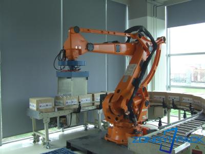 Cina La disposizione inscatola il metallo completamente automatico del robot della macchina di plastica di Palletizer in vendita