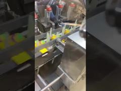 Continuously Cartoning Machine