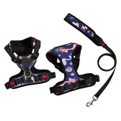 China Personalized Soft and Sturdy Custom Nylon Cat Dog Leash and Harness for Dog for sale