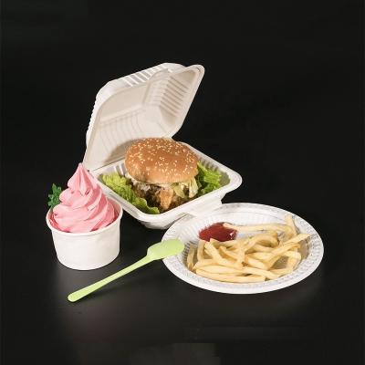 China Freshness Preservation 6 Inch Biodegradable Hamburger Box Hinged Lid Lunch Box for sale