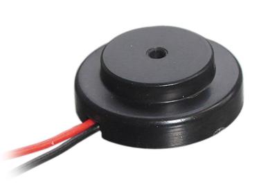 China 12MM 3V Micro Piezo Transducer External Drive With Wire for sale