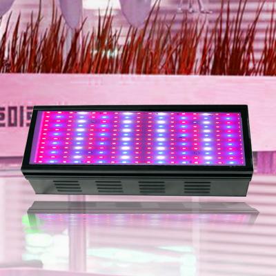 China Seed Starting Full Spectrum Greenhouse Grow Light Hydroponic Cheap Led Grow Light Waterproof Led Lamp Grow Light For Indoor Plants for sale