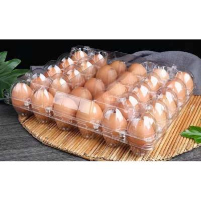 China Transparent Rectangular Plastic Blister Egg Boxes 30 Holes PVC PET Blister Egg Tray for sale