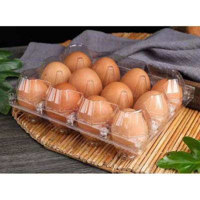 China Blister Egg Boxes Customized Plastic Disposable Blister Clamshell 12 Eggs Quail Egg Packaging Tray Carton for sale