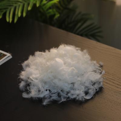 China White Filling Goose Feather 2-4cm for sale