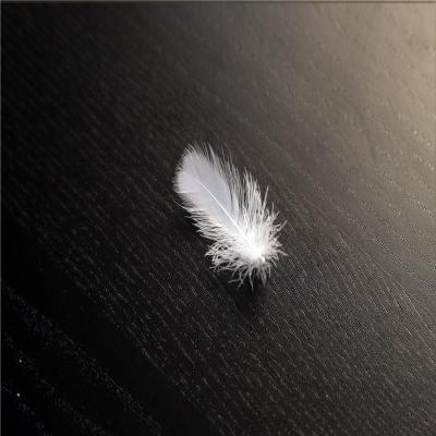 China Bulk White Down Pillow Feather Duvet Filling Duck Feather Filling Material For Sale for sale