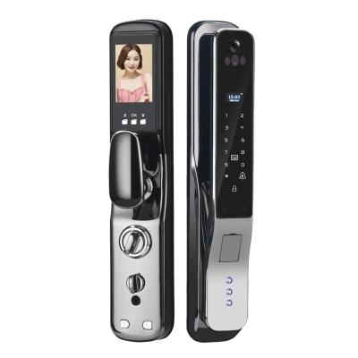 China 2020 new school/home/office 3D multi-dimensional face detection outdoor lock and screen door indoor visual look electronic door lock for sale