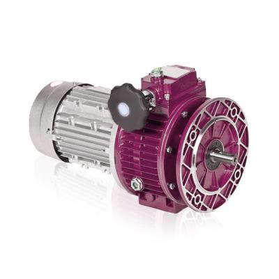 China Hotels UDL Series Electric Motor Gear Infinite Speed ​​Variator With NMRV Gearbox for sale