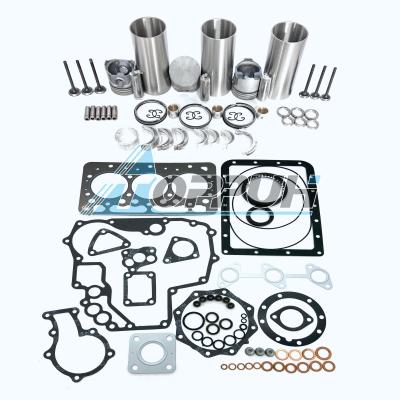 China Machinery Repair Shops D600 Engine Reconstruction Kit For Kubota Agricultural Tractors G5200H for sale