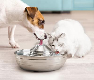 China Smart Automatic Pet Water Fountain 2L Cat Automatic Water Feeder Stainless Steel With Filter Automatic Pet Fountain Dog Cat Water Drinking for sale