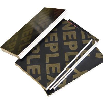 China Colored Melamine Sheet Veneer Veneer Plywood Traditional Building Decoration Melamine Laminated Plywood for sale