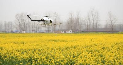 China Environment friendly Unmanned Crop Dusting Helicopter Aerial Spraying UAV for Farming for sale