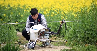 China Modern Helikopter Landbouw Bespuitend Onbemand Luchtvoertuig Enige Roter 1.5-2.0 Hectare/reis Te koop