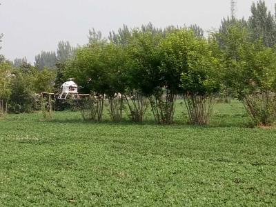 Cina 2,4 ettari per elicottero semi-autonomo del UAV del sistema RC di volo di viaggio per la spruzzatura agricola di precisione in vendita