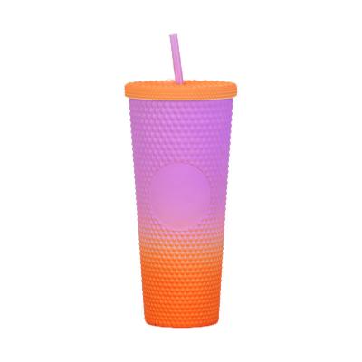 China Colecciones Tumbler con tapa y pajita Copo acrílico aislado de doble pared en venta