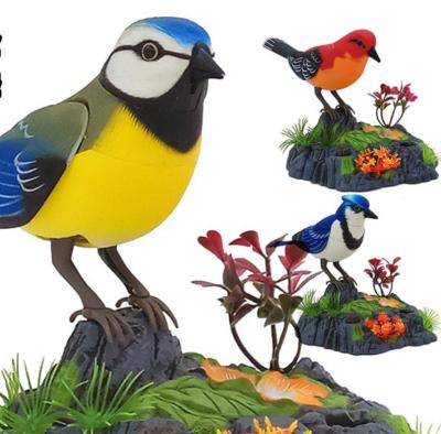 China Europe Catcher Bird For Home Decoration Hot Sale Catcher Singing Bird for sale