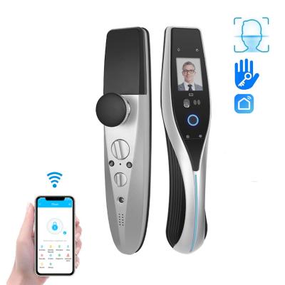 China Home/Apartment/Residential Ble TTLOCK Security App Digital Face Recognition Electronic Smart Door Lock With Camera for sale