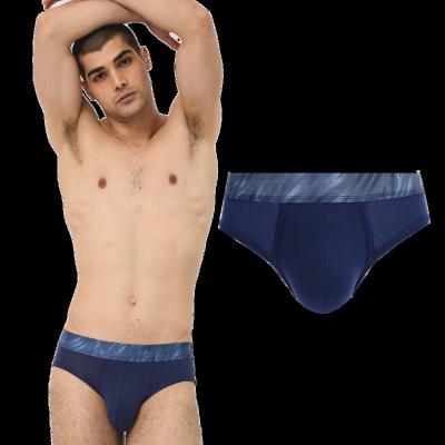 China Anti-Bacterial OEM Manufacturer Underwear Fashionable Seamless Cotton Underpants for Casual Wear Men Boxers and Briefs for sale