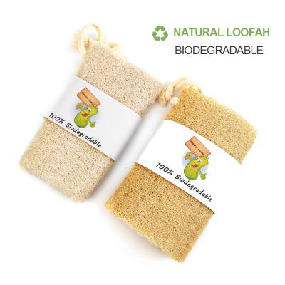 China All Natural Eco Friendly Compostable Loofah Shower Pad Customized Cleaning Sponge for sale