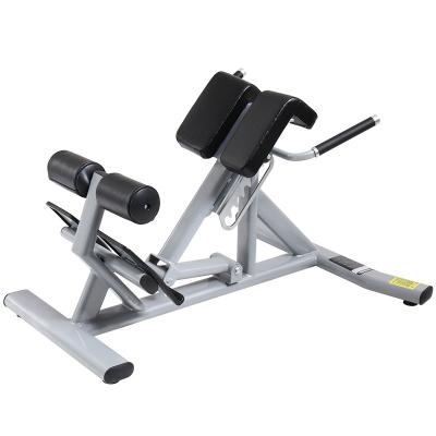 China Modern High End Commercial Roman Chair Gym Professional Strength Equipment for sale