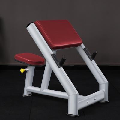 China Commercial Modern Gym Priest Chair Biceps Training Stool Biceps Support Triceps Trainer for sale