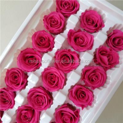 China Wholesale 2-3cm Real Home Decoration Roses Fresh Preserved Flowers For Wedding Decoration for sale