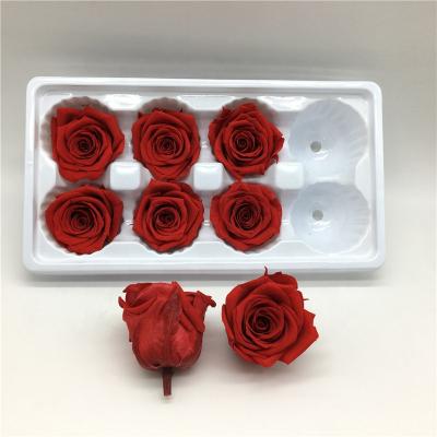 China Home Decoration Wholesale Red Color Preserved Roses Enchanted Forever Rose Flowers for sale