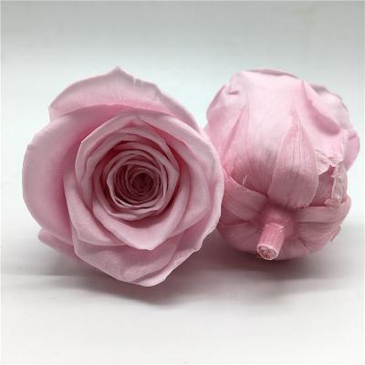 China Wholesale Home Decoration Rose Pink Color Preserved Roses Real For Wedding Decoration Flowers for sale