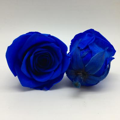 China Home Decoration Factory Sale Preserved Roses Flowers 4-5cm Eternity Rose Long Lasting Rose for sale