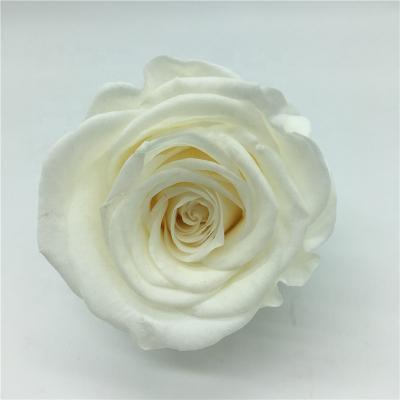 China Home Decoration 5-6cm Color Preserved Roses Wholesale White Eternal Flowers For Florist Wedding Bouquet for sale