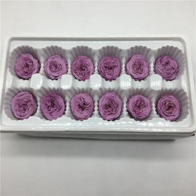 China Wholesale 3-4cm Home Preserved Real Austin Roses Flower Purple Color For Wedding Bouquet Decorations Long Lasting Roses On Sale for sale